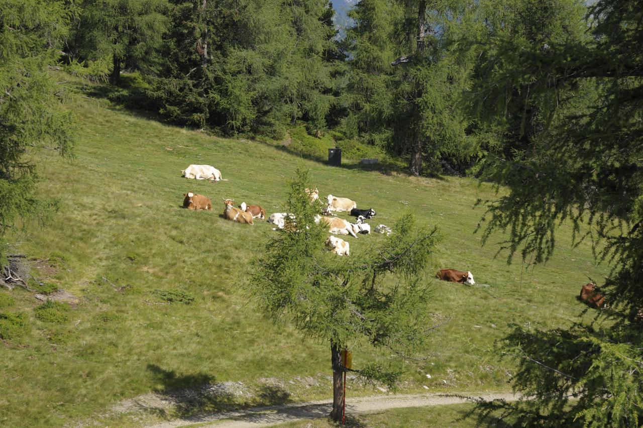 Chaletdorf-Fanningberg Weisspriach Екстериор снимка