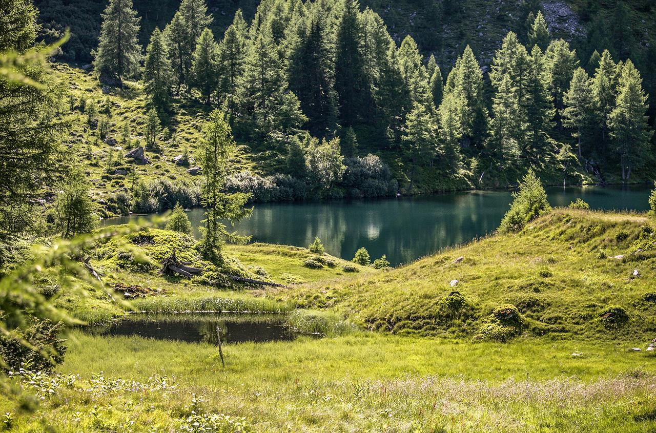 Chaletdorf-Fanningberg Weisspriach Екстериор снимка