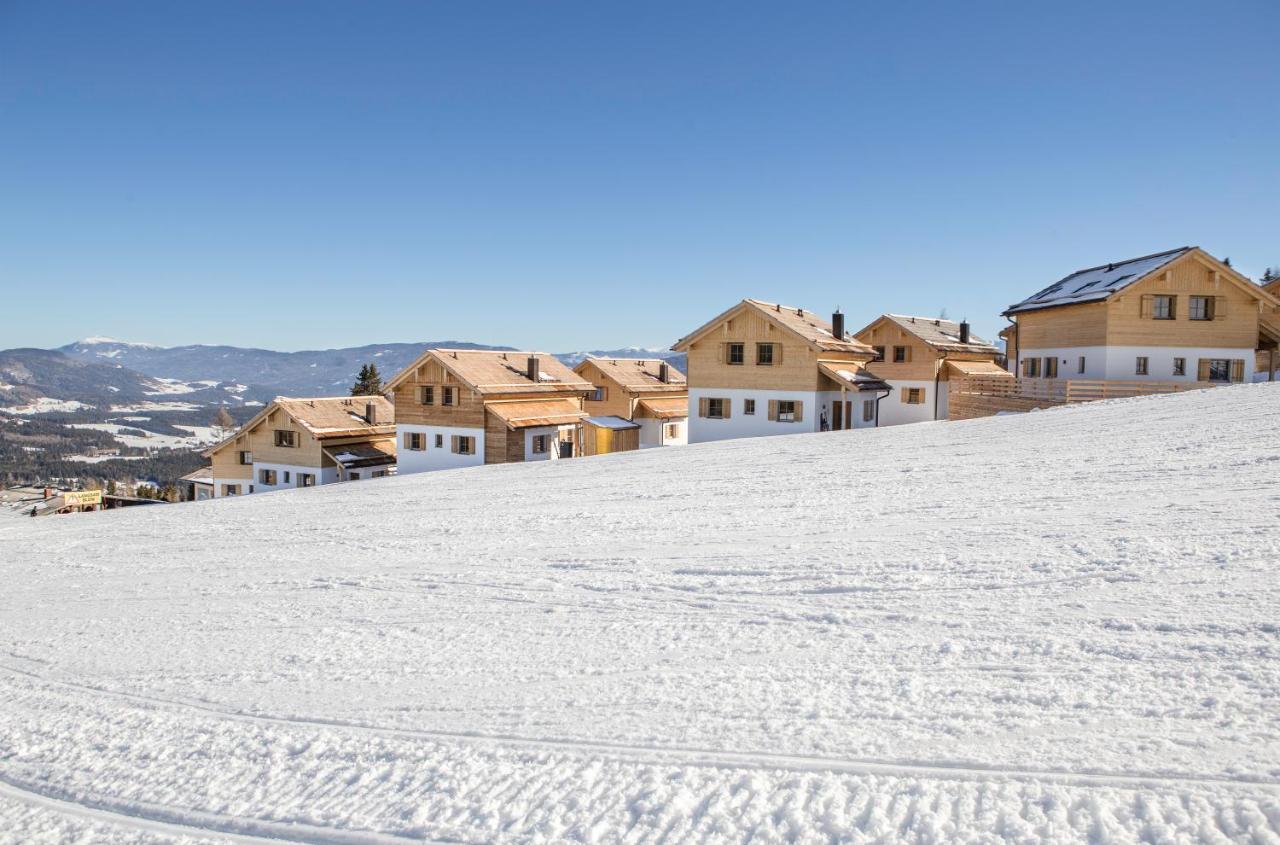 Chaletdorf-Fanningberg Weisspriach Екстериор снимка